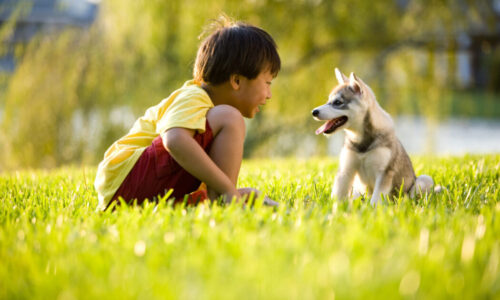 The unexpected benefits of pet ownership