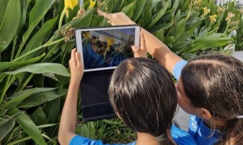 Jebel Ali School makes waves in the UAE with remarkable wildlife record collection