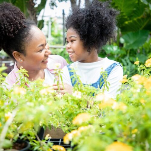 The benefits of planting a family herb garden