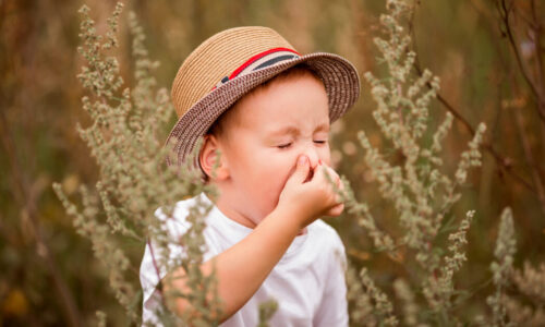 Tips to tackle hay fever