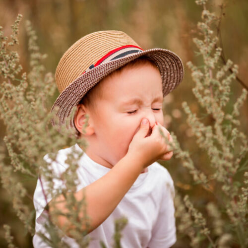 Tips to tackle hay fever