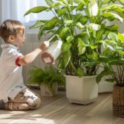 Creating a healthier bedroom for little ones