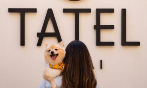 TATEL: The ultimate pet-friendly dining experience in Downtown Dubai