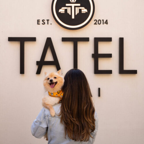 TATEL: The ultimate pet-friendly dining experience in Downtown Dubai