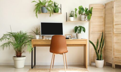 Setting up a great home office