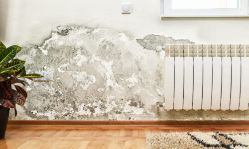 The health hazards of damp and mould