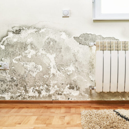 The health hazards of damp and mould